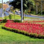 Canteiros e rotatórias ganham nova vida com programa de jardinagem e paisagismo