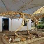 Imóvel do século 19, Casa de Dom Aquino em Cuiabá abriga Museu de História Natural de MT