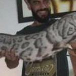 Sumiço de gato de estimação em Cuiabá faz criança chorar e recompensa é oferecida; veja vídeo e fotos