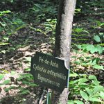 Medo de assaltos impossibilita visitas ao Morro da Luz