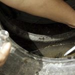 MT registra mais de 12 mil casos de dengue este ano com três mortes confirmadas