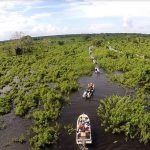 Deputado Max Russi propõe acesso alternativo para o Pantanal