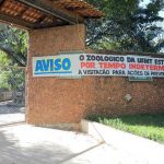 Animais do zoológico são doados para outras instituições