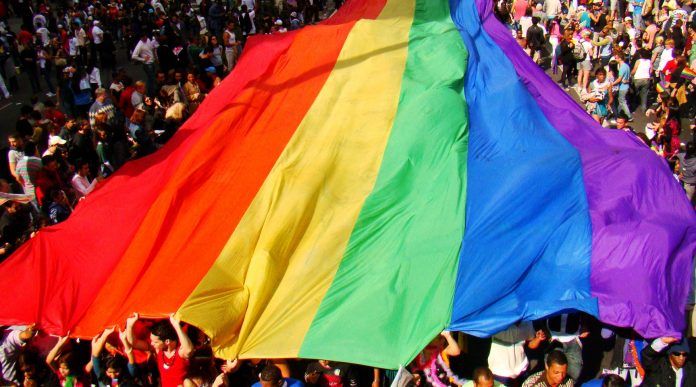 Bandeira LGBT Gay Lésbica Transgênero Transexual Travesti arco-íris Parada GAY3