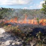 Incêndios se espalham e atingem pontos turísticos de Mato Grosso