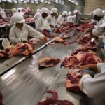 China encontra coronavírus em pacotes de carne suína importadas do Brasil