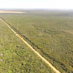 Após 20 anos, Justiça encerra ‘guerra’ e devolve área de R$ 1 bilhão para donos em MT