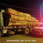 Caminhonetes são recuperadas e carregamento de madeira é apreendido na fronteira