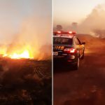 PRF prende dois homens acusados de provocar incêndio em mata; vídeo