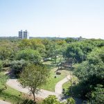 Parque Mãe Bonifácia possui novo Mirante e trilhas para caminhada; veja regras