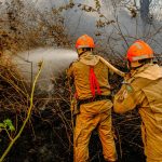 Quase 30 bombeiros atuam no combate aos incêndios no Pantanal em Poconé e Cáceres