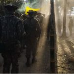 Militares do Exército são atacados por abelhas no Pantanal