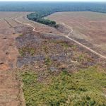 Operação ambiental multa fazenda em R$ 2 milhões por reincidência no desmate ilegal em MT