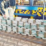 Cães farejadores da PRF descobrem 200 kg de cocaína em pneus