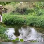 Idosa é encontrada morta após desaparecer há 14 dias