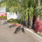 Influenciadora é levada para motel e agredida pelo ex; ele fez live do crime