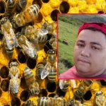 Outro trabalhador morre ao sofrer ataque de abelhas em fazenda de MT