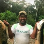 Homem é atacado por abelhas a caminho do trabalho e morre em MT