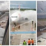 Enxame de abelha atrasa decolagem de avião de MT para São Paulo