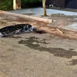 Dono de veículo reage a furto e mata ladrão com barra de ferro