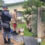 Bandidos armados invadem casa e atiram em casal e bebê em MT