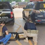 PJC apreende maconha que abasteceria ‘bocas’ em Cuiabá