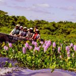 Times elege Pantanal como um dos 50 melhores destinos turísticos