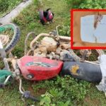 Assassino deixa recado ao lado de corpo em MT: ‘Faz tempo que te caçava’