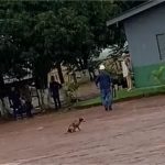 Homem é preso por atirar em cachorro em MT; vídeo