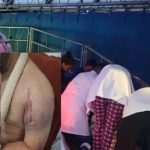 Homem fica ferido em brinquedo do Ita Center Park e esposa relata descaso; vídeo