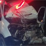 Equipe de saúde fica ferida após ambulância atropelar anta na MT-423