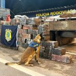 PRF apreende 1,2 tonelada de maconha em carreta com grama