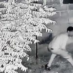 Vídeo: Bandido tenta quebrar muro de condomínio e é surpreendido por guarda