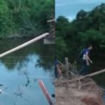 Estudantes de zona rural atravessam ‘pinguela’ para chegar à escola; vídeo