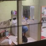 Homem espanca cadela Husky em VG e é preso pela GM; Vizinho filmou crime