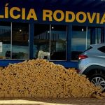 PRF prende homem transportando 617 kg de maconha em carro na BR-163