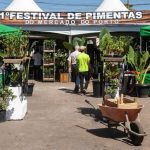 Chocolate com pimenta? Tem no I Festival da Pimenta no Porto
