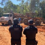 Operação cumpre 22 mandados contra associação criminosa envolvida em crimes ambientais