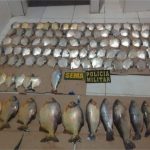 Sema e PM apreendem pescado ilegal em Barão de Melgaço; carros foram apreendidos