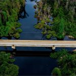 Governo vai substituir pontes de madeira por concreto na Transpantaneira