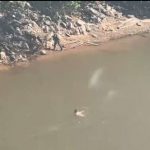 PM e Ciopaer prendem traficante que tentou fugir a nado pelo rio Cuiabá; veja vídeos