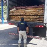 Matéria especial do Fantástico denuncia madeireiras de MT acusadas de fraudar créditos ambientais