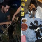 Cadela e 7 filhotes são regatados em VG e dono é preso; Vídeo mostra ação da polícia