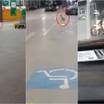 Advogada acusa funcionários de atacadista de agressão a cachorro