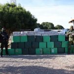 União de forças policiais resulta em 2 toneladas de drogas apreendidas em MT