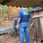 Adolescentes torturam e matam desafeto arrancando sua cabeça