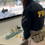 Homem é flagrado transportando quase R$ 200 mil em notas falsas