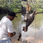 Pescador ‘fisga’ munição de guerra no Rio Guaporé; veja vídeo