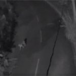 Câmera registra onça passeando à beira de condomínio de luxo em Cuiabá; veja vídeo