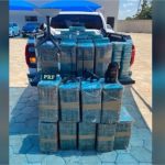 Avião carregado com drogas invade fazenda do cantor Leonardo; houve confronto